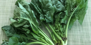 Healthy Anywhere biodynamic spinach