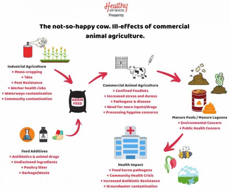 industrial agriculture