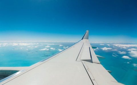 Airplane Wing - Travel Healthy - Healthy Anywhere
