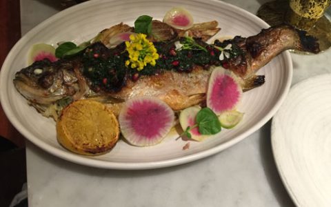 A16 SF / Oakland - Healthy Anywhere