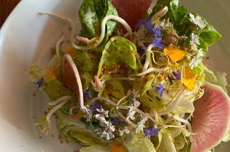 beautiful locally sourced salad at 3rd Cousin, San Francisco