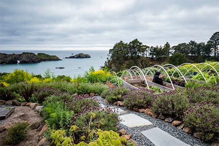 gorgeous view from The Harbor House Inn organic garden Elk CA