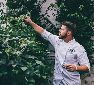 Chef caring for onsite organic fruit trees for healthy sustainable menu