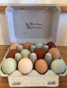 pasture-raised eggs from Regenerative farm Willow Farm in Homer, Michigan