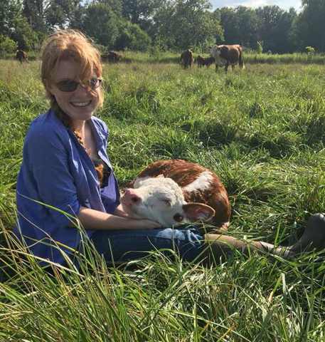 Regenerative farmer in MI with pasture raised cows in fresh field