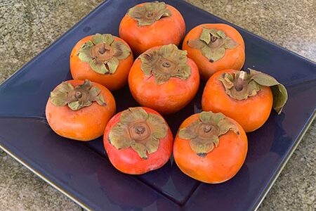 healthy sustainably sourced local persimmons for a healthy delicious dessert or treat