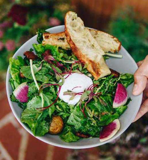 Beautiful green breakfast salad at all-day brunch Cafe Lift in Haddonfield, NJ