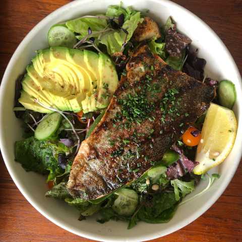 A gorgeous Trout Salad, generously portioned to share or save leftovers for later!