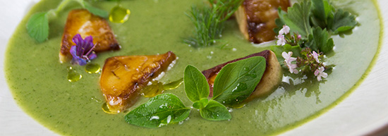 Fresh healthy green gazpacho at L'Atelier des Mets, Luberon, Provence