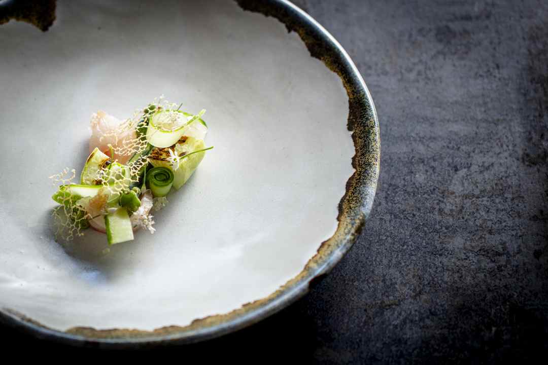 Chaneling Nightbird's artistry in presenting this crudo with cucumber and herbs. in San Francisco, CA