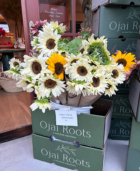 Farm fresh sunflowers at Ojai Roots Market