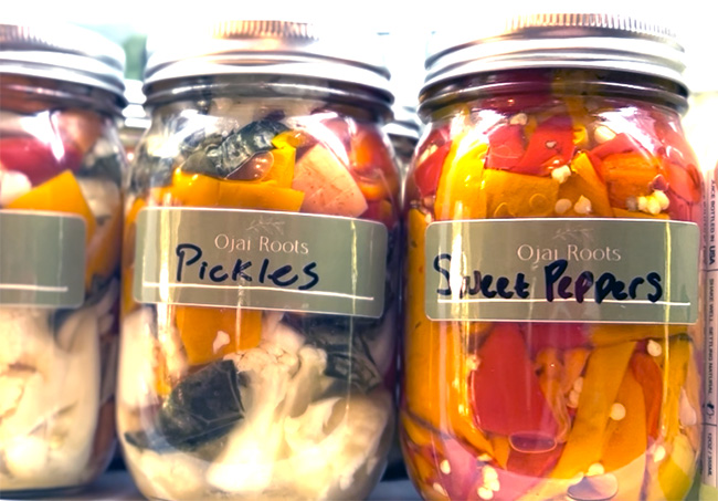 House Giardiniera and Preserves at Ojai Roots