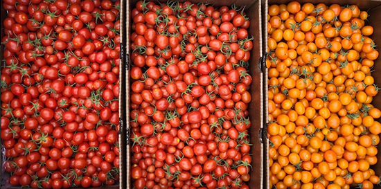 Incredibly delicious peak-season tomatoes from Ojai Roots