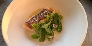 Local spring rockfish with spring peas and herbs, Bar Le Côte, Los Olivos CA